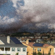 Illustration for article titled Biologists Discover Billions Of Missing Bees Living Anonymously In Sacramento